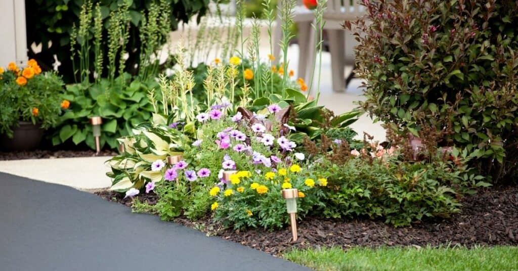 flowers and shrub landscaping driveway asphalt ideas