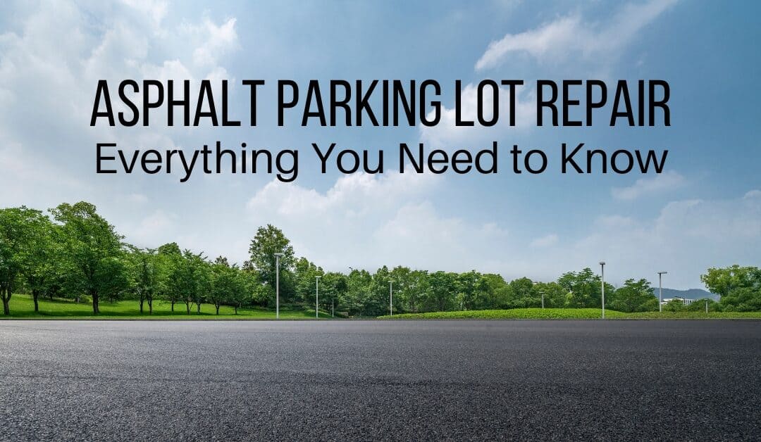 Asphalt Parking Lot Repair: Everything You Need to Know