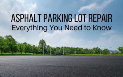 Asphalt Parking Lot Repair: Everything You Need to Know