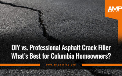 DIY vs. Professional Asphalt Crack Filler for Homeowners